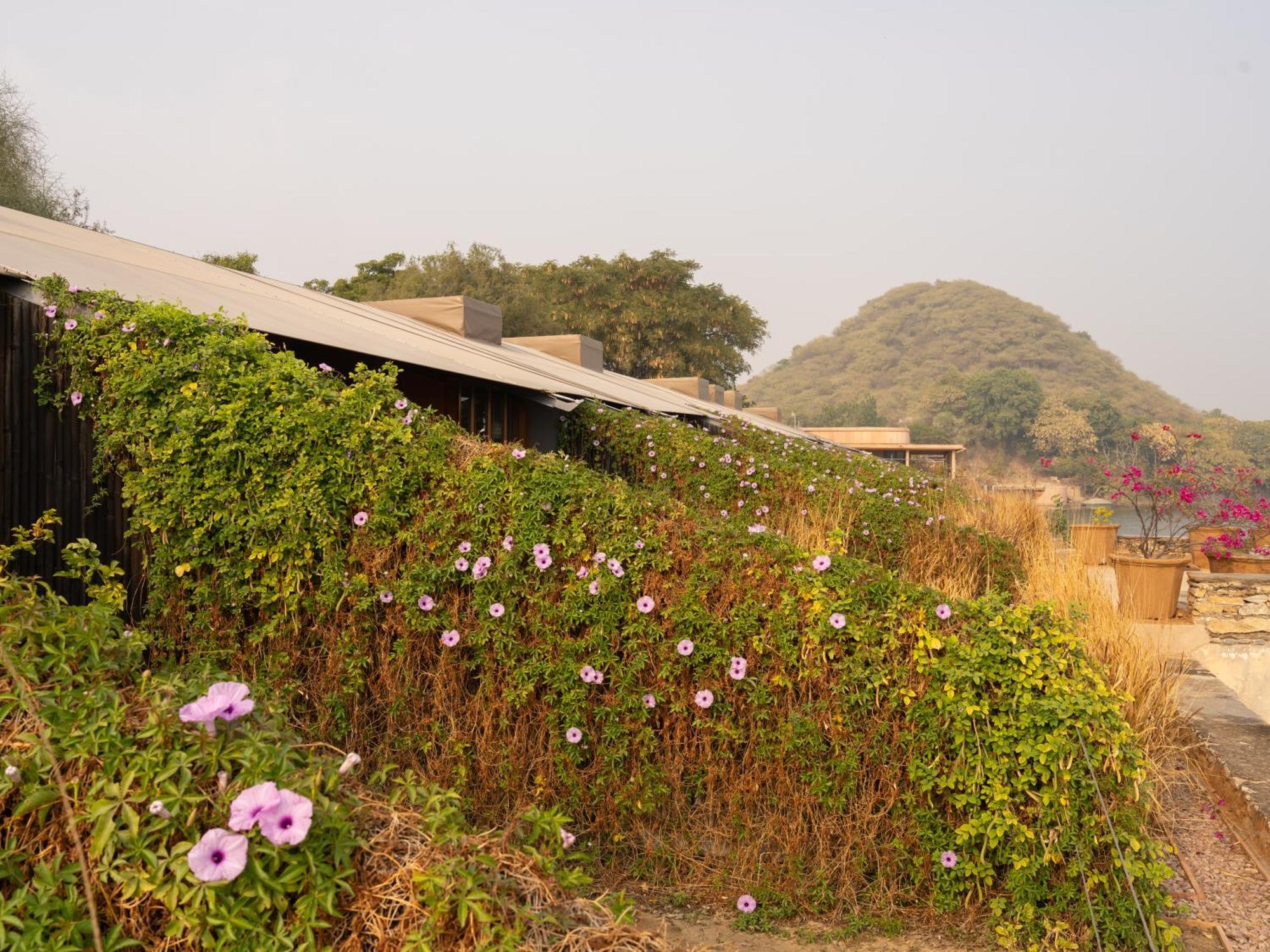 Raas Chhatrasagar, Nimaj, District Pali Extérieur photo